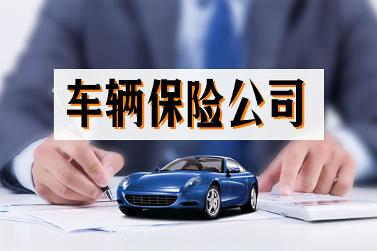 中国车险前十名