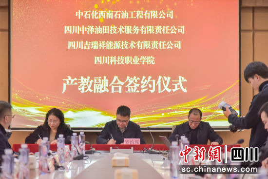 探索职业新篇章，中国石化人才招聘网站官网深度解析中国石化人才招聘网站官网2024