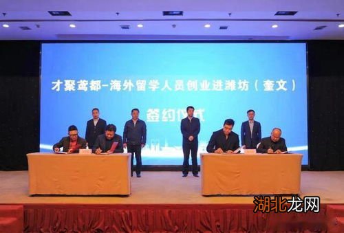潍坊人才招聘网，搭建城市与人才的桥梁潍坊人才招聘网官网最新招聘