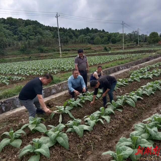 郴州人才市场招聘网，架起企业与人才的桥梁郴州人才市场招聘信息