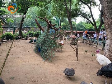 无忧网官网—打造您的在线生活新乐园无忧网官网登录入口