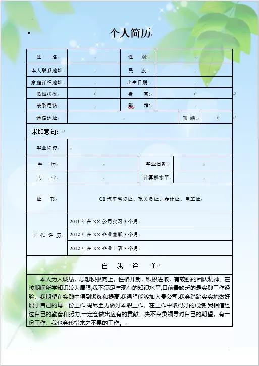 打造完美求职第一步，标准个人简历范文指南标准个人简历范文学生