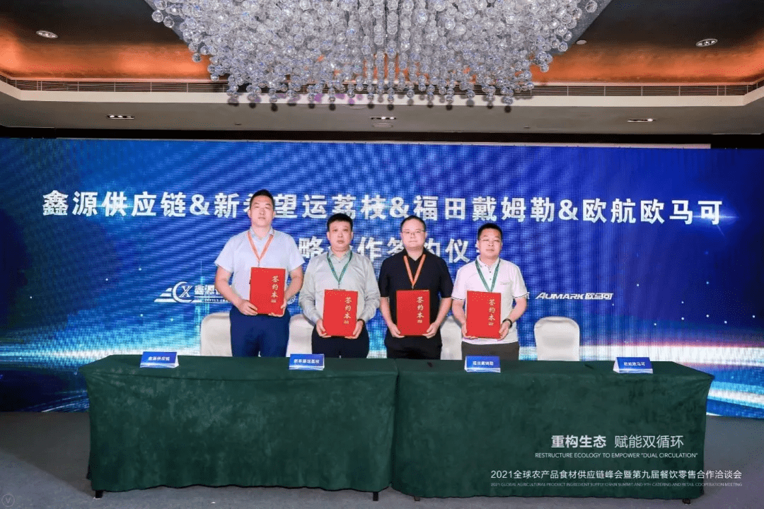 科技创新引领未来，科技有限公司的崛起与影响科技有限公司起名大全