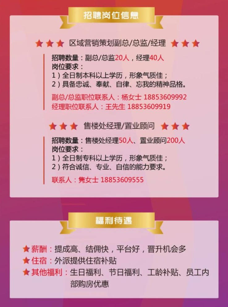 山东人才招聘网2013年最新招聘信息，开启职场新篇章的黄金机遇山东人才招聘网最新招聘2023