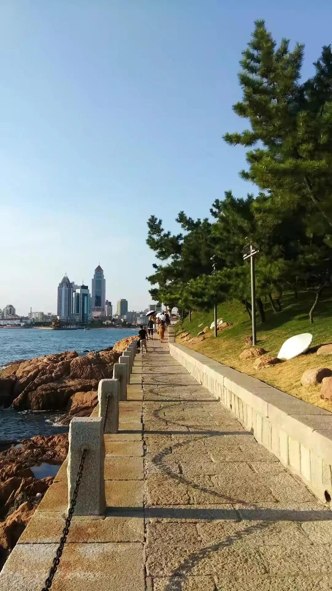青岛,海滨之城的职场新机遇—最新工作招聘信息解析青岛工作招聘信息资源微信群