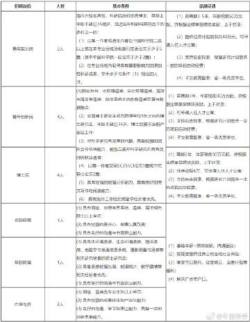 招聘启事,诚邀优秀人才加入我们的创新团队—公司最新岗位信息发布公司招聘岗位信息在哪里看