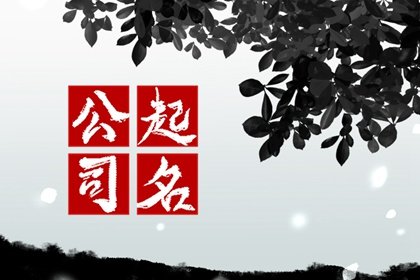 创新引领未来,公司取名字的创意与策略参考大全公司取名字参考大全免费