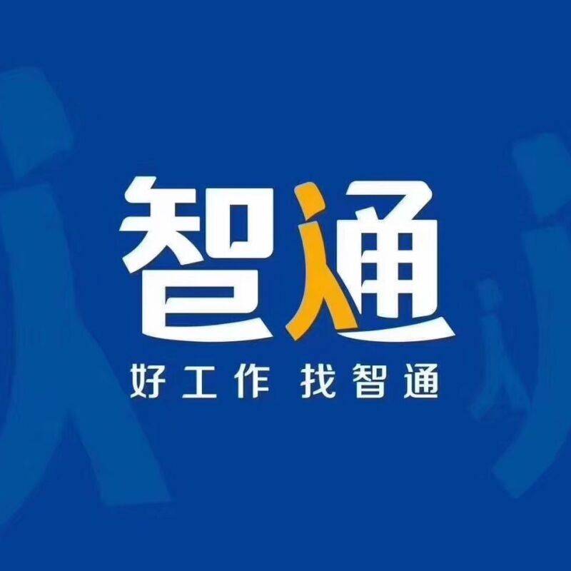 智通人才招聘网，求职者的智慧之选智通人才招聘网下载软件